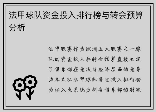 法甲球队资金投入排行榜与转会预算分析